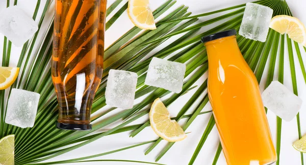 在棕榈树的绿叶上 两个玻璃瓶装满了冷果汁 冰块和新鲜柠檬片 暑期理念 — 图库照片