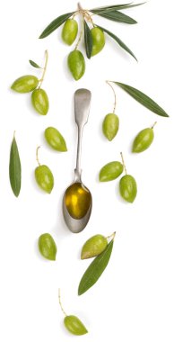 Üstten görünüm kaşık zeytinyağı, zeytin ağacı ve yeşil zeytin meyve dal izole beyaz arka plan üzerinde.