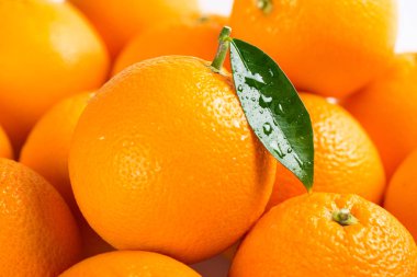 Turuncu meyveler ile yaprak yeşil ıslak. Alan, yaprak damla odakta sığ derinliği. Turuncu arka plan.