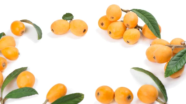 Loquat z zielonymi liśćmi — Zdjęcie stockowe