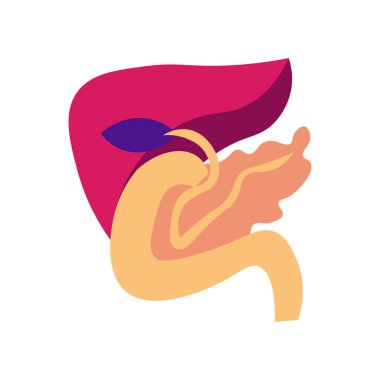 Web ve mobil uygulaması tasarımı, pankreas logo kavramı için beyaz arka plan üzerinde izole pankreas simge vektör