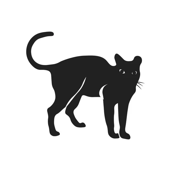 Katt Ikonen Vektor Isolerad Vit Bakgrund För Din Web Och — Stock vektor