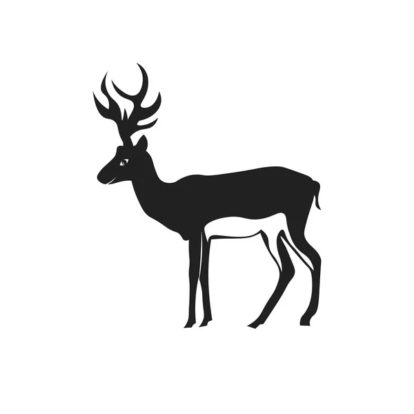 Adult wild deer with antlers isolated on white background Stock Vector
