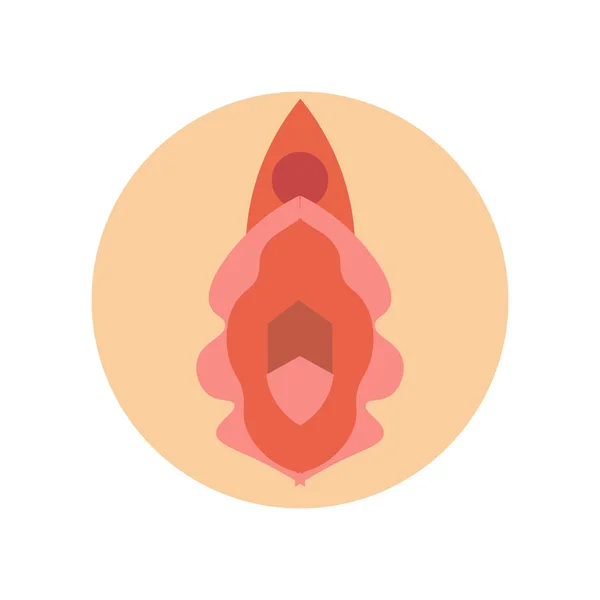 Vagina Icono Vector Aislado Sobre Fondo Blanco Para Diseño Web — Vector de stock