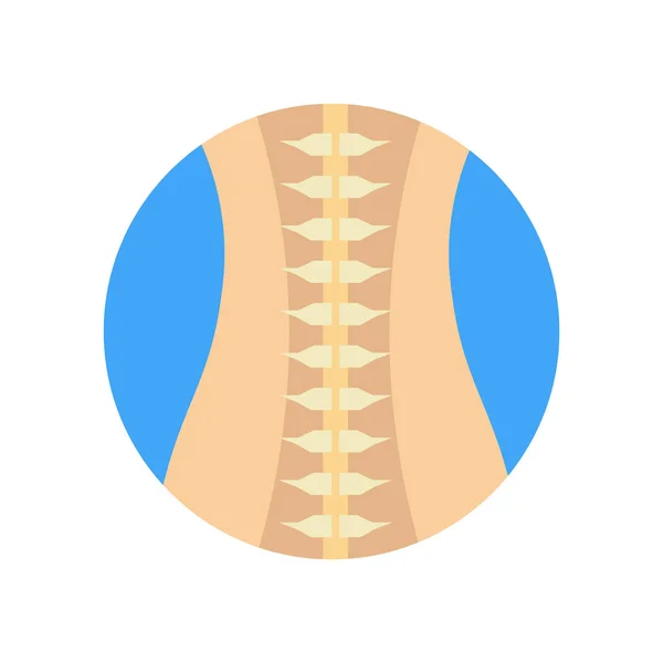 Spinal column icon vector isolated on white background for your web and mobile app design, Spinal column logo concept — Stock Illustration Spinal Column Icon Vector Isolated White Background Your Web Mobile Stock Illustration