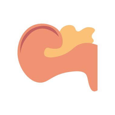 Web ve mobil uygulaması tasarımı, pankreas logo kavramı için beyaz arka plan üzerinde izole pankreas simge vektör