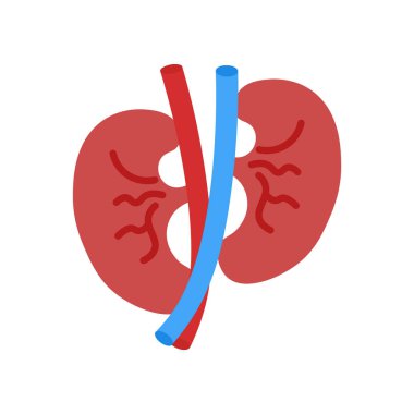 Web ve mobil uygulaması tasarımı, böbrek logo kavramı için beyaz arka plan üzerinde izole böbrek simge vektör