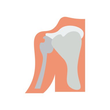 Web ve mobil uygulaması tasarım, omuz logo kavramı için beyaz arka plan üzerinde izole omuz simge vektör