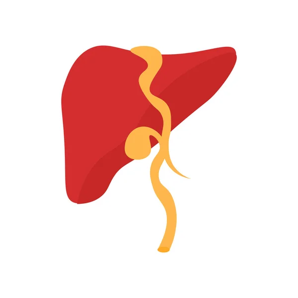 Web およびモバイル アプリ設計 肝臓ロゴのコンセプトのための白い背景に分離された肝臓のアイコン ベクトル — ストックベクタ