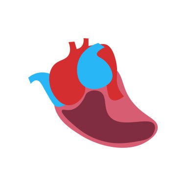 Web ve mobil uygulaması tasarımı, kalp logo kavramı için beyaz arka plan üzerinde izole kalp simge vektör
