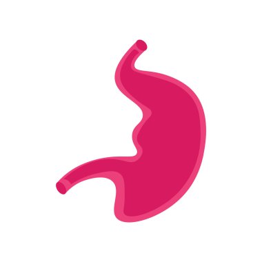 Web ve mobil uygulaması tasarımı, mide logo kavramı için beyaz arka plan üzerinde izole mide simge vektör