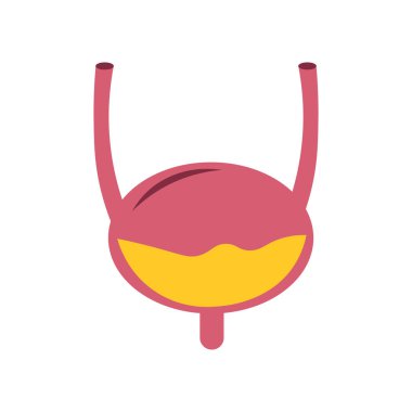 Web ve mobil uygulaması tasarımı, mesane logo kavramı için beyaz arka plan üzerinde izole mesane simge vektör