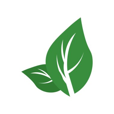 Yaprak simge vektör web ve mobil uygulaması tasarımı, yaprak logo kavramı için izole üzerinde beyaz arka plan