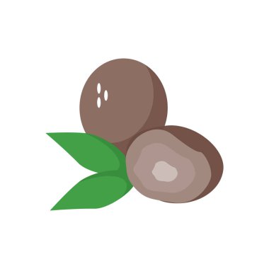 Web ve mobil uygulaması tasarımı, Hindistan cevizi logo kavramı için beyaz arka plan üzerinde izole Hindistan cevizi simge vektör