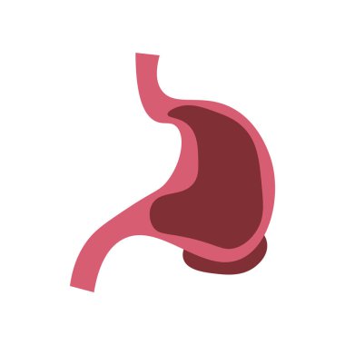 Web ve mobil uygulaması tasarımı, mide logo kavramı için beyaz arka plan üzerinde izole mide simge vektör