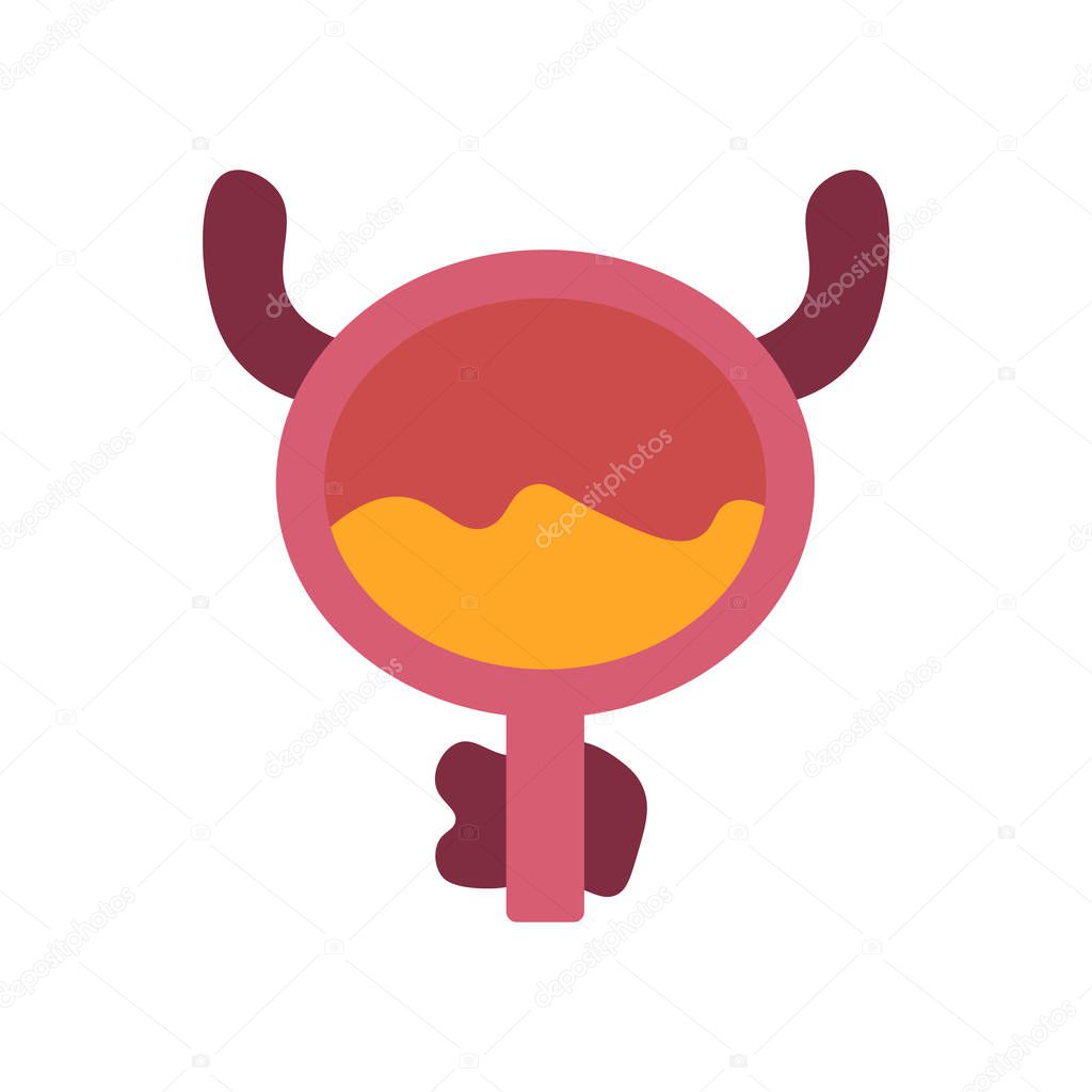 Bladder icon vector isolated on white background for your web and mobile app design, Bladder logo concept