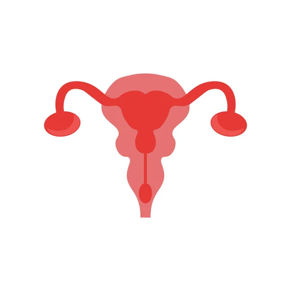Uterus Icon Vector Isolated White Background Your Web Mobile App — Stock Vector