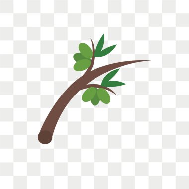 Saydam arka plan üzerinde zeytin logo kavramı izole zeytin vektör simgesi