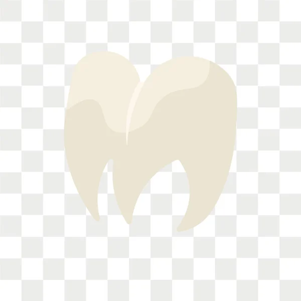 Icono Vector Premolar Aislado Sobre Fondo Transparente Concepto Logotipo Premolar — Vector de stock