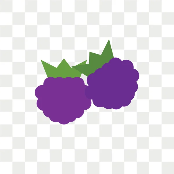 ラズベリーのベクトルのアイコンが透明な背景 ラズベリーのロゴのコンセプトに分離 — ストックベクタ