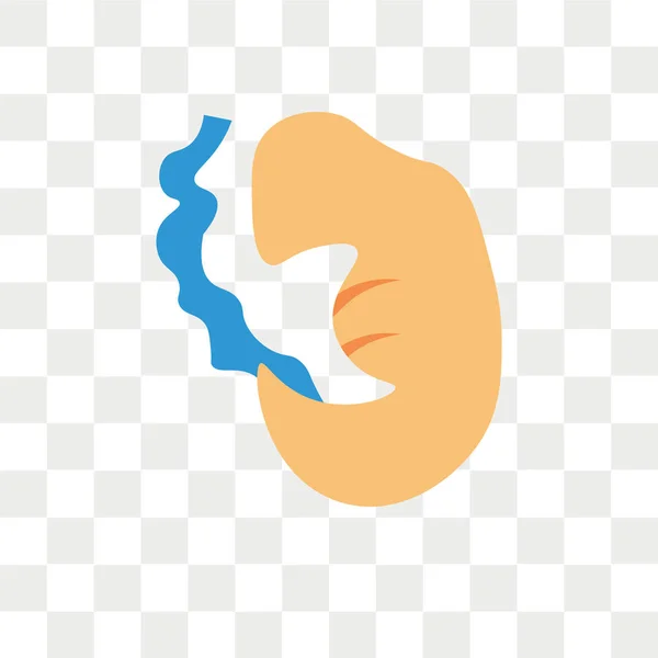 Embryo Vector Icon Isolated Transparent Background Embryo Logo Concept — Stock Vector