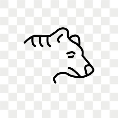 Saydam arka plan üzerinde ayı logo tasarımı izole ayı vektör simgesi