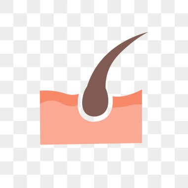 Saydam arka plan üzerinde DermIS lo izole DermIS vektör simgesi