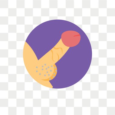 Penis vector icon isolated on transparent background, Penis logo