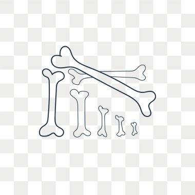 Saydam arka plan üzerinde kemikleri logo tasarımı izole kemikleri vektör simgesi