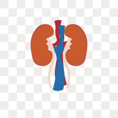 Saydam arka plan üzerinde reklam izole böbreküstü bezi vektör simgesi