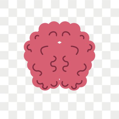 Saydam arka plan üzerinde beyin logo izole beyin vektör simgesi