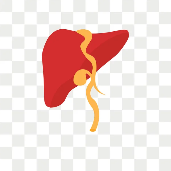 Ícone do vetor hepático isolado no fundo transparente, logotipo do fígado —  Vetores de Stock