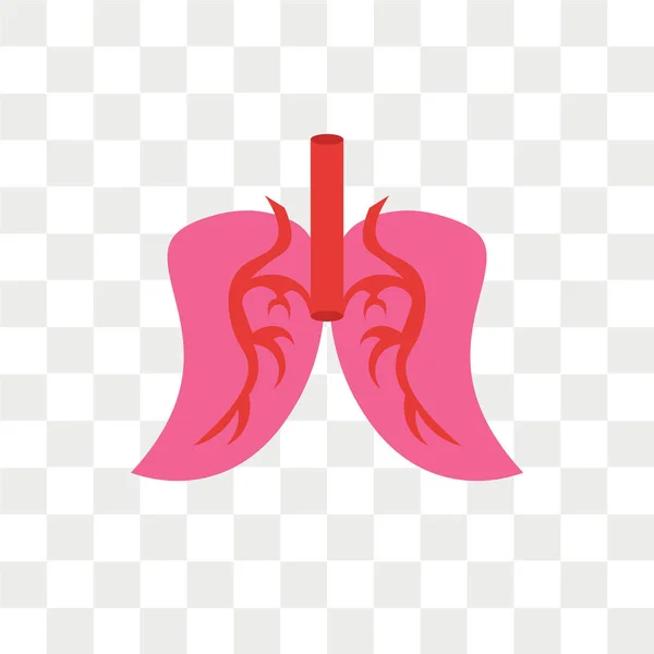 Lungs vector icon isolated on transparent background, Lungs logo — Stock Vector