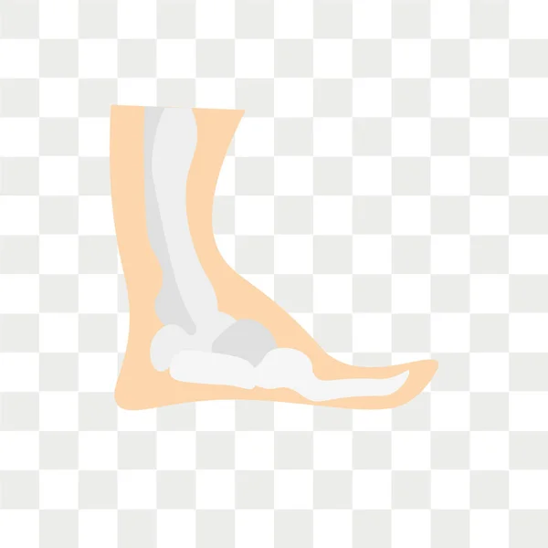 Ícone de vetor de tornozelo isolado no fundo transparente, logotipo do tornozelo — Vetor de Stock