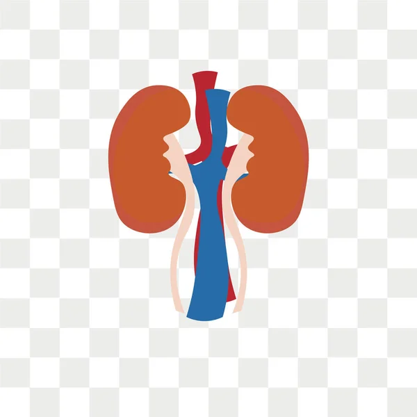 Adrenal gland vector icon isolated on transparent background, Ad — Stock Vector