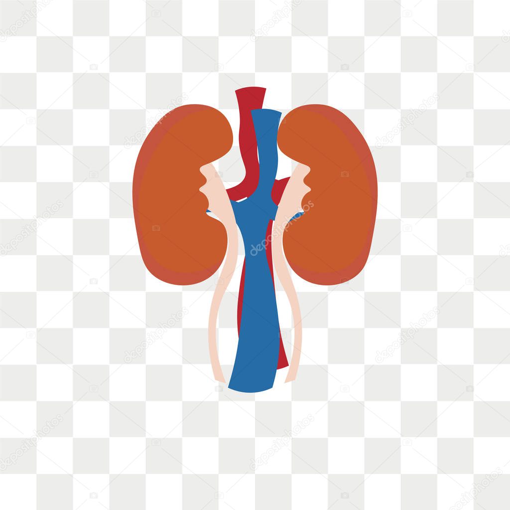 Adrenal gland vector icon isolated on transparent background, Ad