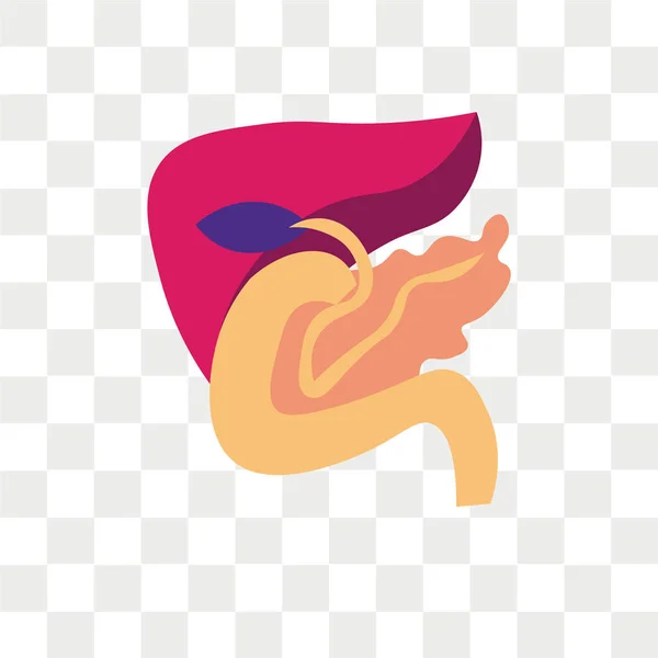 Icono del vector del páncreas aislado sobre fondo transparente, Pancrea — Vector de stock