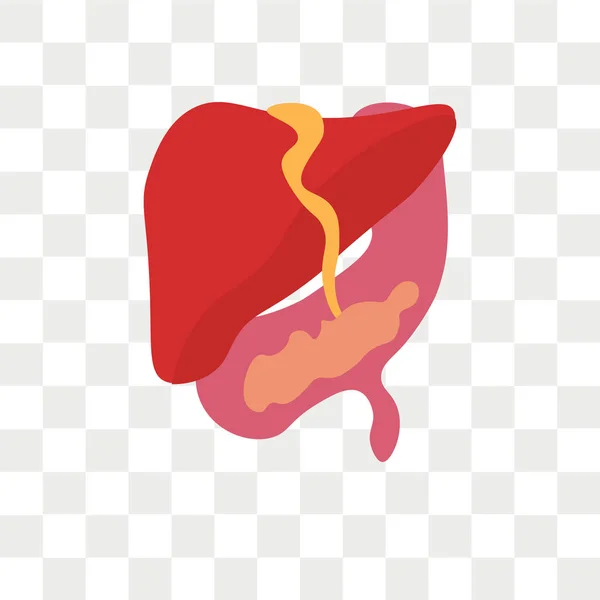 Icono del vector hepático aislado sobre fondo transparente, logotipo del hígado — Archivo Imágenes Vectoriales