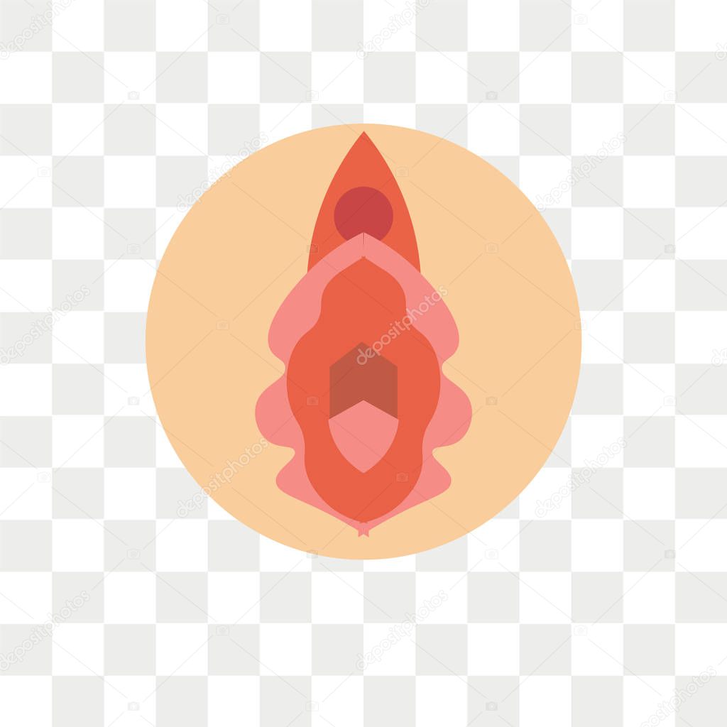 Vagina vector icon isolated on transparent background, Vagina lo