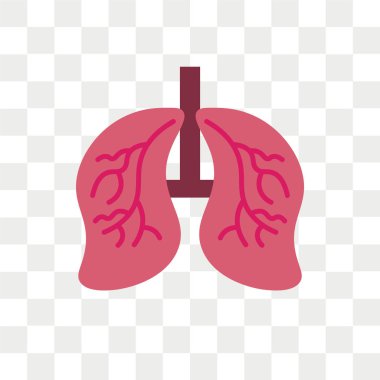 şeffaf arka plan üzerinde akciğerler logo izole akciğerler vektör simgesi