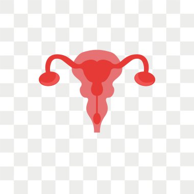 Saydam arka plan üzerinde rahim lo izole rahim vektör simgesi