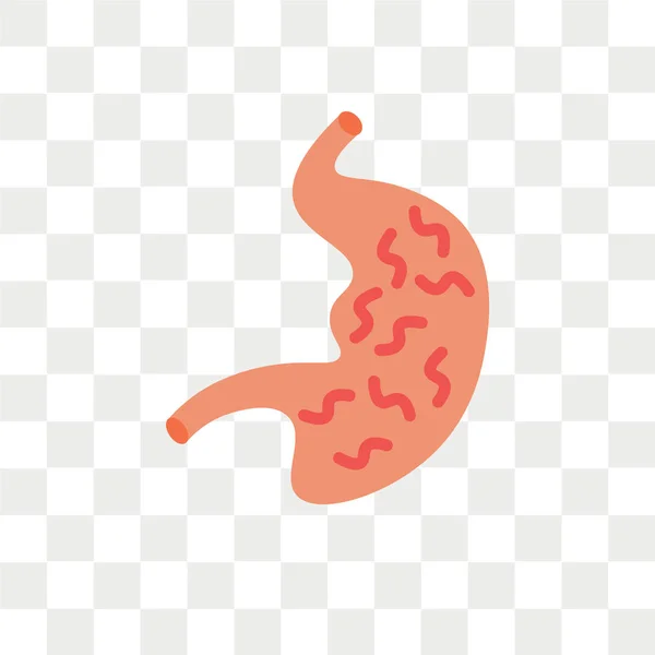 透明な背景、胃に分離された胃ベクトル アイコン — ストックベクタ
