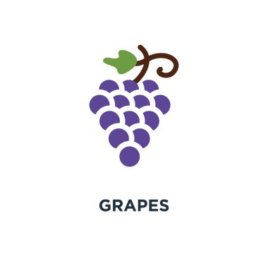 üzüm simgesi. meyve konsept sembol tasarımı, doğa şarap vektör çizim