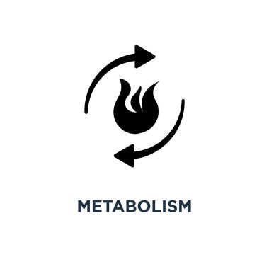 metabolizma simgesi. Konsept sembol tasarımı, vektör çizim yanmak