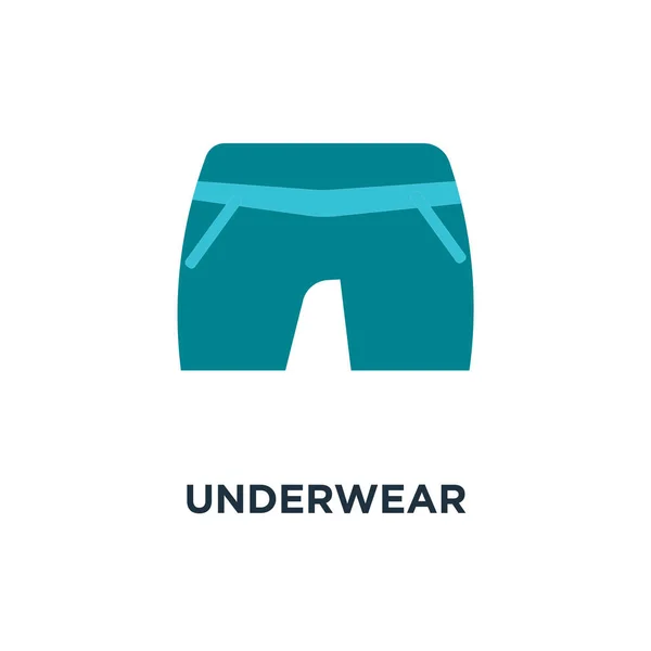 Underwear Icon Symbol Man Underpants Fashion Concept — Stock Vector