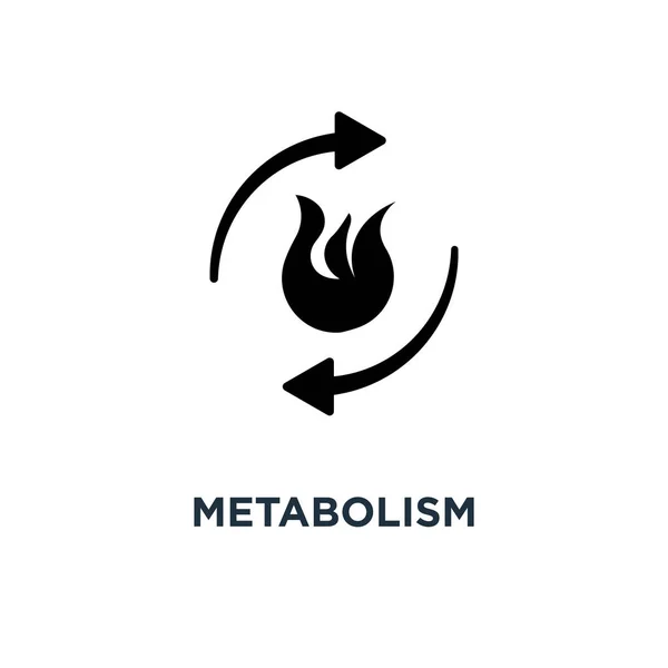 Ícone Metabolismo Queimar Design Símbolo Conceito Ilustração Vetorial Vetor De Stock