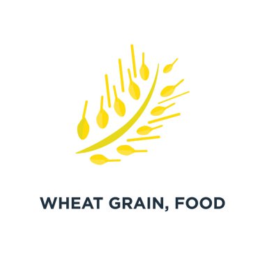 buğday tahıl, Gıda Tarım simgesi. sağlıklı beslenme kavramı sembol tasarımı, vektör çizim