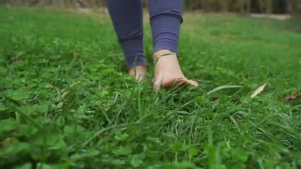 Flickan barfota är på det gröna gräset — Stockvideo