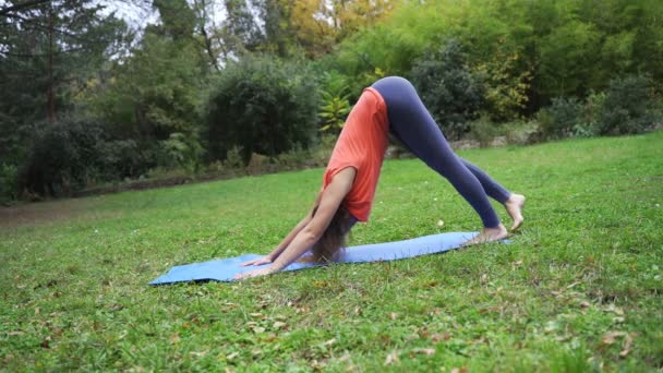 Girl doing yoga in the park in autumn 4k — Stock Video