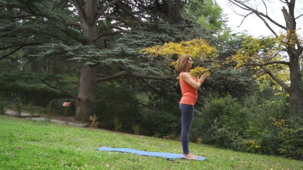 Fille faire du yoga dans le parc en automne 4k — Video